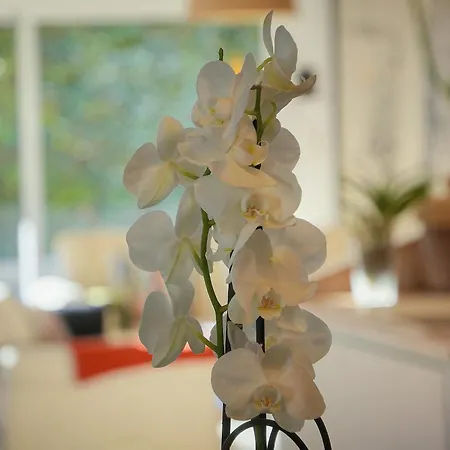 Frgk Coteau Luxury Private 4 Bedrooms Pool Garden Parking Κάννες